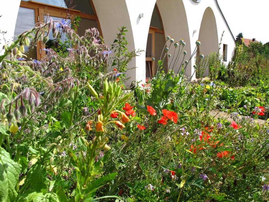 Gaestehaus Am Wangeliner Garten ภายนอก รูปภาพ